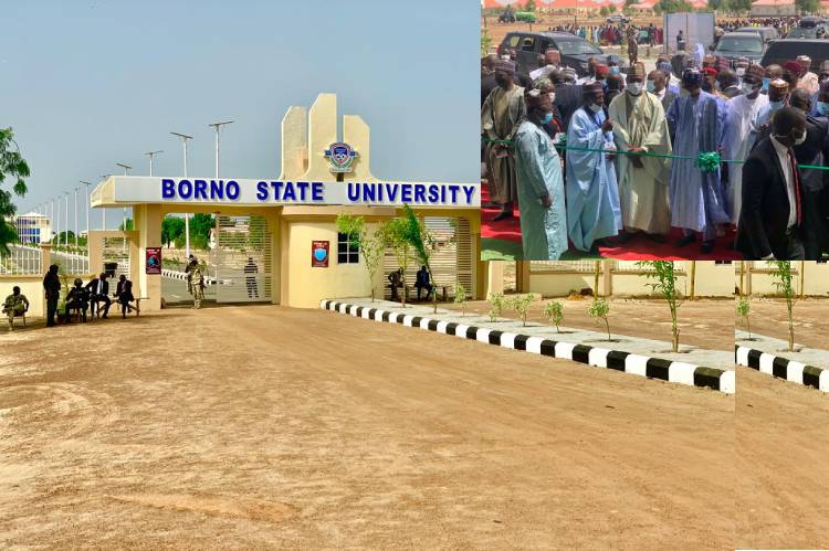 Borno State University (BOSU) Post UTME / DE Screening Form 2023/2024 is Out
