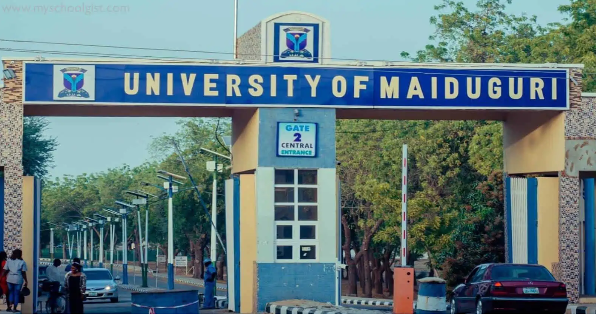 How to Check UNIMAID Admission List 2023/2024 (Ist, 2nd, 3rd Batch)