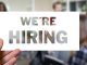USA Jobs Recruitment 2023/2024 Apply for ongoing job vacancies
