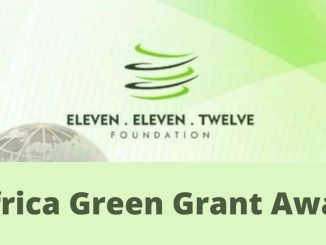 Africa Green Grant Award 2023 For Young Entrepreneurs | How To Aply