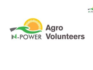 NPower Agro Recruitment Application Form Portal 2023 | See Registration Procedures