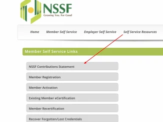 How to Get and Check NSSF Statement Online in Kenya