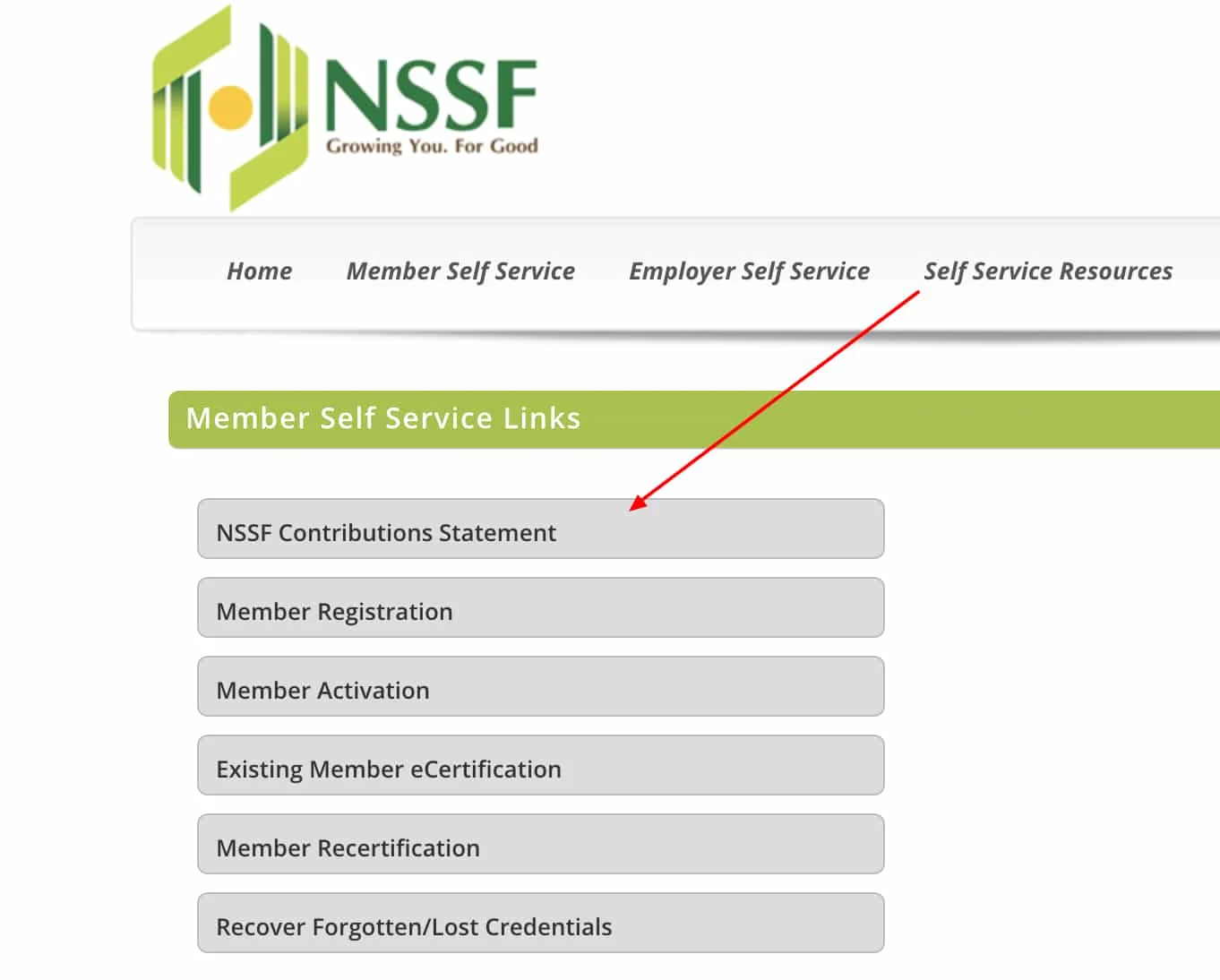 How to Get and Check NSSF Statement Online in Kenya