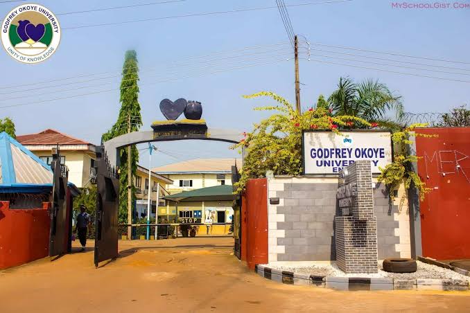 Godfrey Okoye University School Fees, Admission Requirements, Hostel ...