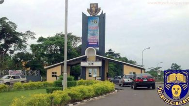 Obafemi Awolowo University Ile-Ife School Fees, Admission Requirements, Hostel Accommodation, and List of Courses Offered