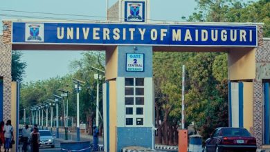 University of Maiduguri School Fees, Admission Requirements,  Hostel Accommodation,  List of Courses Offered.