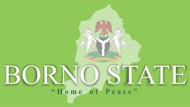 List of Cheap private universities in Borno State